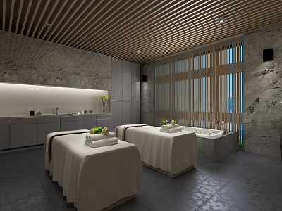 Modern SPA 3d model