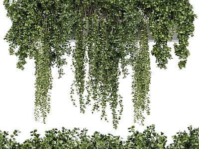 Modern gardening sketch hanging plant ivy flower pot stand 3d model
