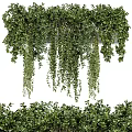 Lush Hanging Plants Garden Decor With Cascading Leaves And Low Growing Greenery