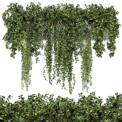 Lush Hanging Plants Garden Decor With Cascading Leaves And Low Growing Greenery 3d model