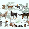 Various Reptile Species in Detailed Illustrations with Natural Green Plant Backgrounds