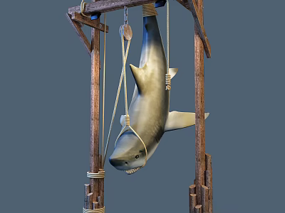 The Modern Shark 3d model