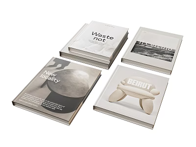 Books With Vasto Mare Title Landscape Photo Moon Artwork And Beirut Sculpture Cover Design 3d model
