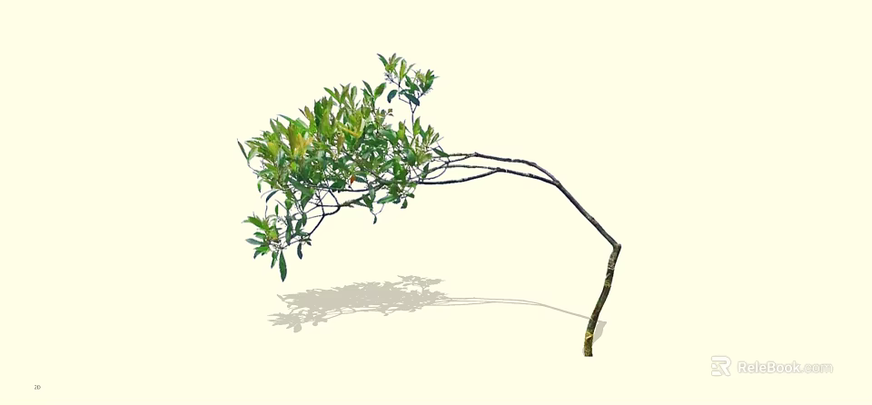 Lush Green Arbor With Curved Branches And Fresh Leaves Casting Shadow 3d model