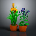 Two Potted Plants With Yellow Tulips And Purple Flowers In Orange Pots