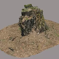 Natural Wooden Stump Surrounded by Stone Earth and Green Moss