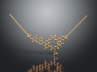 Modern Necklace Tianzhu Necklace Ornament Jewelry 3d model