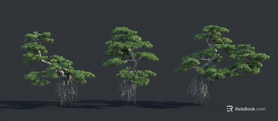 Three Trees with Exposed Root Systems and Green Foliage on Dark Background 3d model 