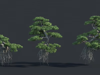 Three Trees with Exposed Root Systems and Green Foliage on Dark Background 3d model
