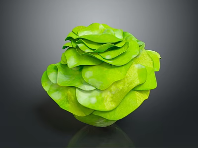 Fresh Green Lettuce With Flower Like Shape And Layered Crisp Leaves 3d model