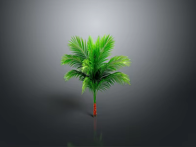 Lush Green Palm Plant with Red Trunk and Vibrant Leaves on Gray Background 3d model