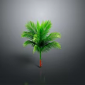 Lush Green Palm Plant with Red Trunk and Vibrant Leaves on Gray Background