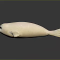 Realistic White Seal Model Placed On Black Smooth Surface With Clear Reflection 3d model