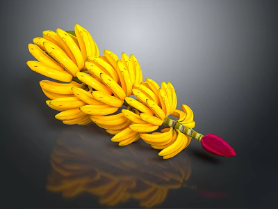 Fresh Yellow Bananas With Red Stem On Dark Background Ripe And Reflected 3d model