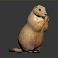 Realistic Prairie Dog 3D Model Standing On Hind Legs With Detailed Fur