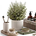 Stylish Bathroom Accessories With Plants And Woven Basket