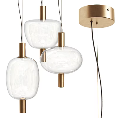 Modern Transparent Glass Pendant Lights With Oval Shaped Design And Brass Fixtures 3d model