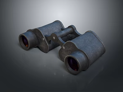 Professional Binoculars Commercial Equipment With High Definition Lenses And Handheld Durable Design 3d model