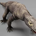 Close Up View Of Reptile With Scaly Skin Sharp Claws Long Tail And Open Mouth