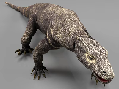 Close Up View Of Reptile With Scaly Skin Sharp Claws Long Tail And Open Mouth 3d model