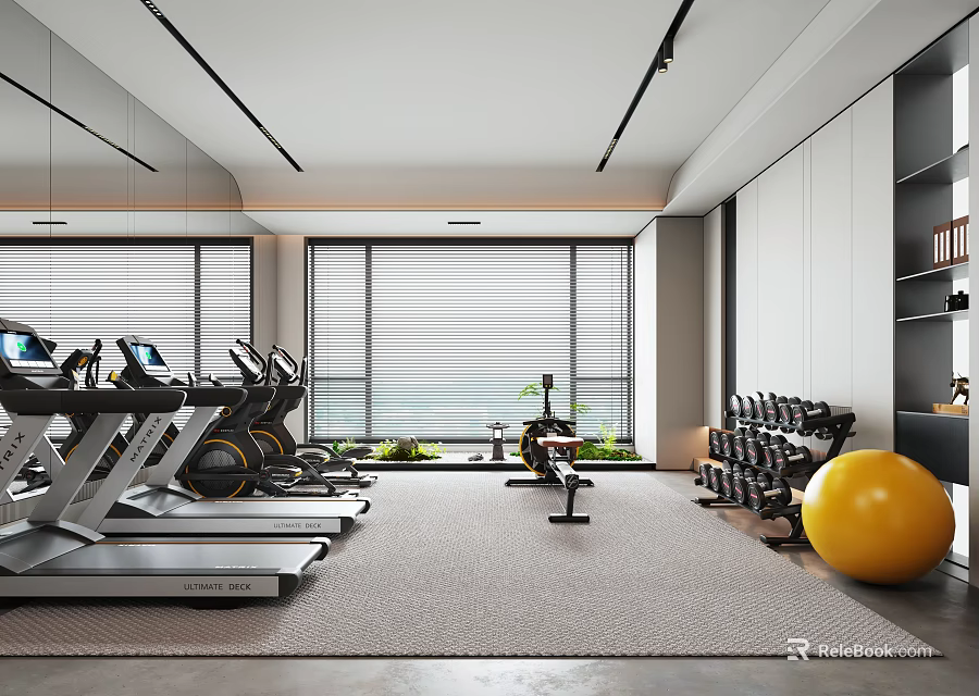 Spacious Entertainment Room Interior With Treadmills Dumbbells Exercise Ball And Natural Light 3d model 