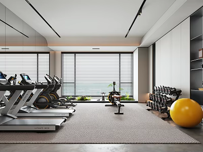 Spacious Entertainment Room Interior With Treadmills Dumbbells Exercise Ball And Natural Light 3d model