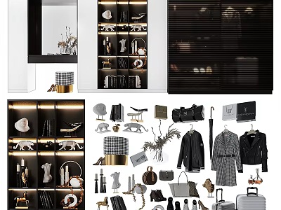 Elegant Modern Wardrobe Interior Design With Shelves Clothes Shoes Bags And Lighting 3d model