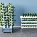 Commercial Vertical Farming Equipment With Multi Tier Racks And Wheeled Design For Growing Plants