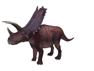 Realistic Brown Triceratops Dinosaur Model With Horns And Frill Details 3d model