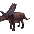 Realistic Brown Triceratops Dinosaur Model With Horns And Frill Details