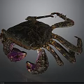 Detailed Crab With Dark Carapace Purple Claws And Multiple Legs On Dark Background
