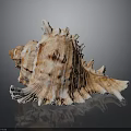 Detailed Animal Skin Organ With Thick Fur Hair And Natural Texture