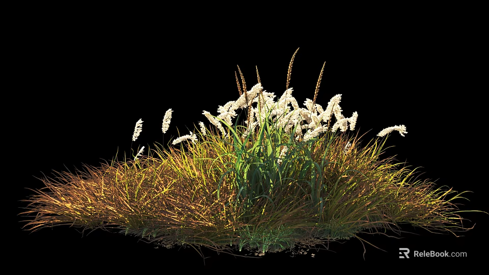 Lush Clump of White Flowers with Green and Brown Grass Against Black Background 3d model 