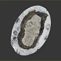 Rustic Wood And Stone Decorative Piece With Natural Soil And Shavings Elements