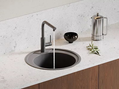 Black Kitchen Sink with Modern Faucet on Light Countertop and Bowl Olive Branch Kettle 3d model