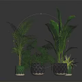Various Indoor Green Plants in Decorative Patterned Pots for Home Decor 3d model