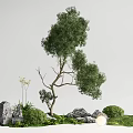 Natural Garden Ornaments Featuring Curved Tree Rocks Small Bushes Grass Flowers And Decorative Light