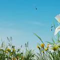 Beautiful White and Yellow Flowers with Green Grass and Dandelion Seeds Floating Under Blue Sky