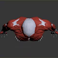 Human Organ Muscular System Anatomical Model Red Body Structure 3D Rendering