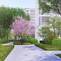 Serene Garden Landscape With Curved Path Lush Trees Pink Flowering Shrubs and Modern Buildings