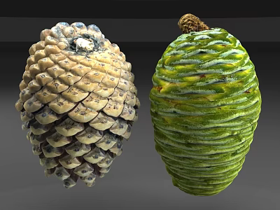 Natural Pine Cones With Different Colors And Textures On Gray Background 3d model
