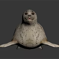 Detailed Lifelike 3D Seal Model With Spotted Fur On Gray Background