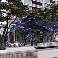 Waterfront Landscape With Purple Flower Trees Outdoor Seating Wooden Deck Steps And Leisure Space