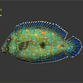 Vibrant Yellow Aquatic Fish With Blue Spots And Colorful Fins Appearance