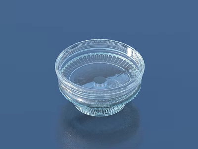 Transparent Glass Bowl with Intricate Patterns Elegant Design Household Item for Kitchen Dining 3d model