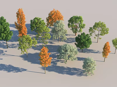 Diverse Arbor Trees With Green Orange White Foliage And Natural Shadows 3d model