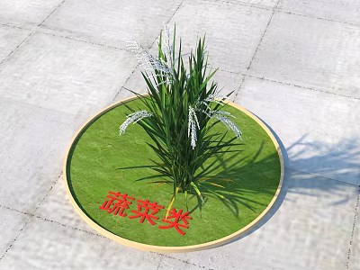 Green Grass Like Plants With White Flower Spikes On Circular Green Surface 3d model