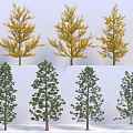 Different Species Of Trees With Yellow And Green Foliage And Varied Growth Forms