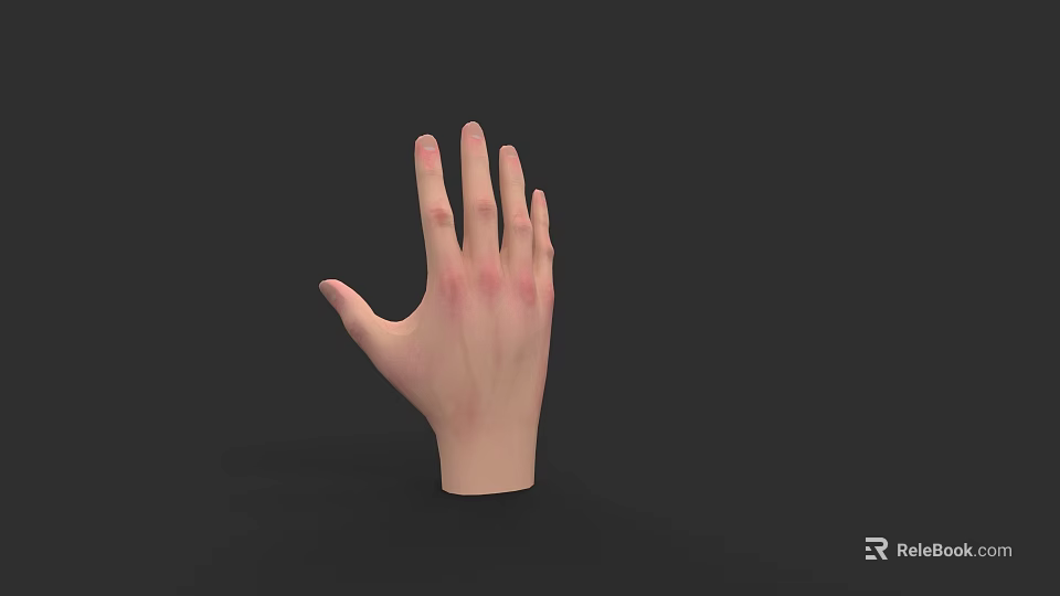 Realistic Human Hand Model With Light Skin And Red Patches On Fingers 3d model 
