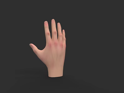 Realistic Human Hand Model With Light Skin And Red Patches On Fingers 3d model